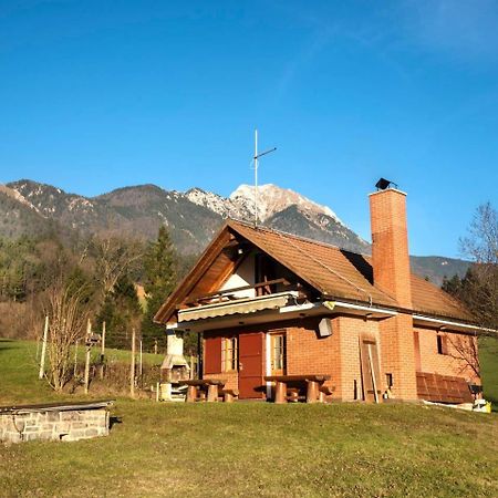 Zalog Little Dream House In A Perfect Spot 빌라 외부 사진
